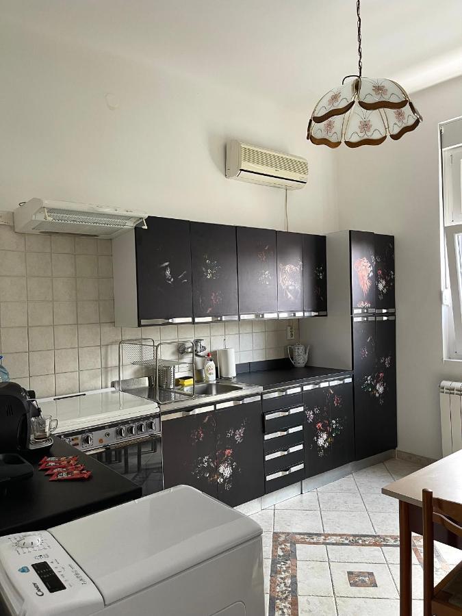 贝尔格莱德Apartman Alba公寓 外观 照片